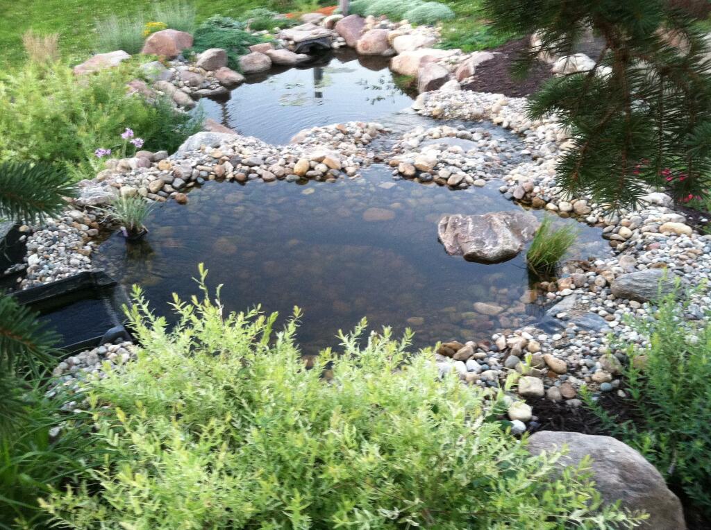 Display Pond by Sequoia Landscape